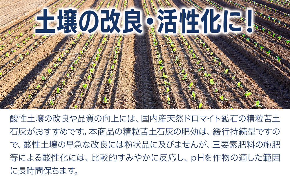 つくみ精粒苦土石灰1号 (5kg×2袋) 家庭菜園 園芸 土づくり 農業 農園 野菜栽培 ガーデニング 有機農産物 肥料 土壌改良 天然 ドロマイト鉱石 機械散布 大分県産 九州産 津久見市