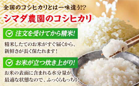 【定期便2回】 【先行予約/9月以降発送】　【令和7年産】 福井県産こしひかり 精米 5kg 小浜市 / シマダ農園[BFAV009]