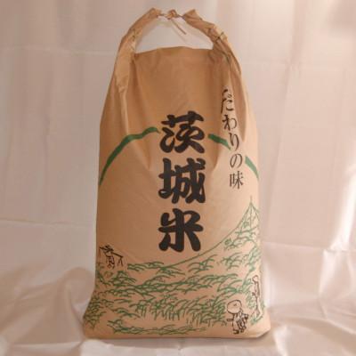 ふるさと納税 石岡市 獅子米いのちの壱　玄米30kg【令和6年産】