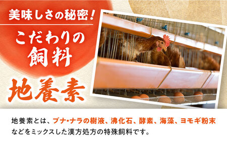 12回定期便 最高級 卵 Mサイズ 計180個（6個×30パック）＜垣山養鶏園＞ [CBB016] 卵