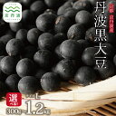 【ふるさと納税】【年内発送】京丹波町産 丹波黒大豆 L 300g 600g 1.2kg 選べる 数量 お正月 おせち用 京都 黒豆 新豆 生産者限定 令和6年度産 生豆 ※北海道・東北・沖縄・その他離島は配送不可。