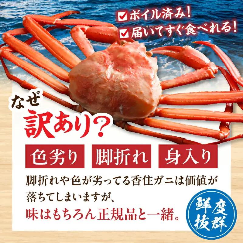 《訳あり》 浜茹で 香住ガニ 約1kg以上 【令和8年10月以降発送予定】 カニ かに 19-09