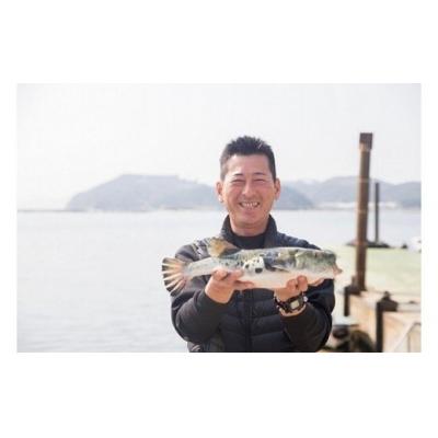 ふるさと納税 南あわじ市 【若男水産】3年とらふぐアラ身500g(約3人前)【数量限定!】 |  | 03