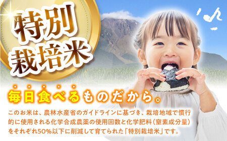 【特別栽培米】 ヒノヒカリ 5kg / 米 精米 白米 ごはん ご飯 ひのひかり / 南島原市 / 農家民宿　いちご一会[SBN001]