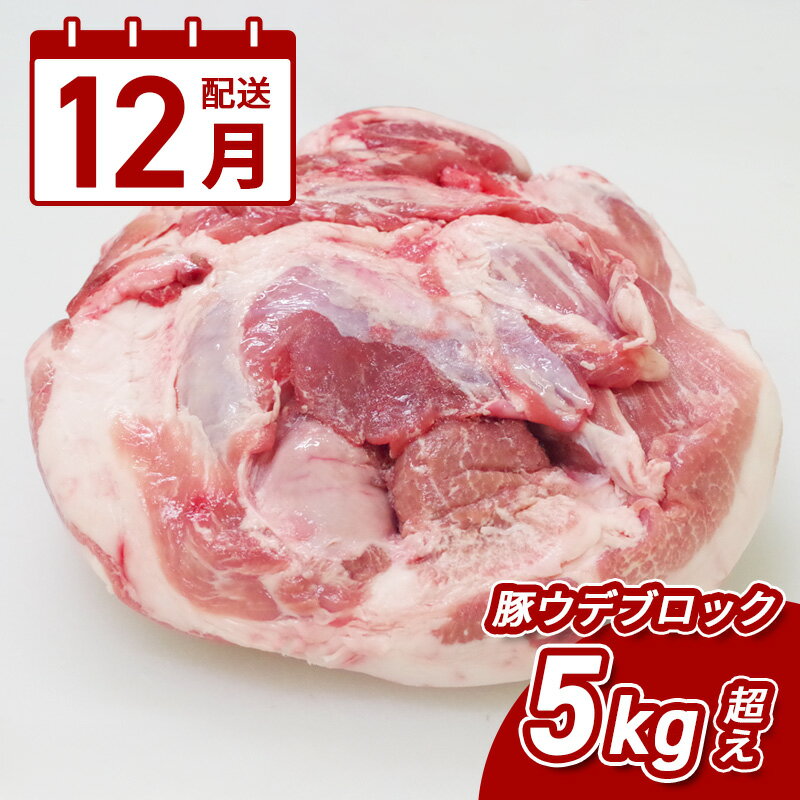 【ふるさと納税】12月配送★宮崎県産豚ウデブロック5kg超！ - 国産豚肉 ウデ肉 かたまり肉 5キロ 冷凍 大容量 ブロック肉 塊肉 大きい お好みにカットできる 届いたらご自宅でカット 12月発送 12月お届け 送料無料 【宮崎県木城町】