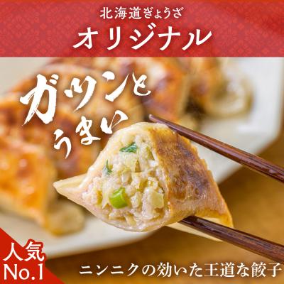 ふるさと納税 千歳市 天のびろく餃子お徳用2種セット(580g×2) |  | 01