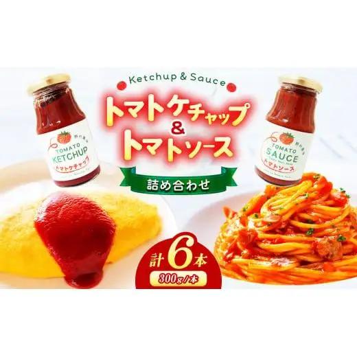 トマトケチャップとトマトソースの詰め合わせ | 野菜 やさい ヤサイ とまと トマト ケチャップ ソース 調味料 加工品 長野県 塩尻市