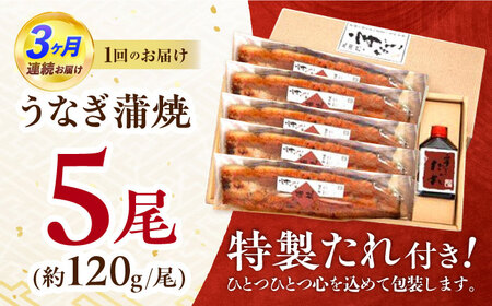 【3回定期便】『北御門』うなぎ蒲焼5尾入り / 特上 うなぎ 鰻 ウナギ 蒲焼 蒲焼き かばやき うな重 ひつまぶし 冷凍 / 諫早市 / 諫早観光物産コンベンション協会[AHAB056]