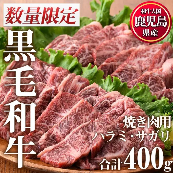 数量限定 鹿児島県産 黒毛和牛 焼肉 セット 合計400g ハラミ サガリ 牛肉 カミチク No.831 