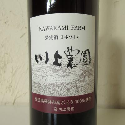 ふるさと納税 桜井市 【Aラベル-川上農園】赤ワイン 720ml 1本 |  | 02