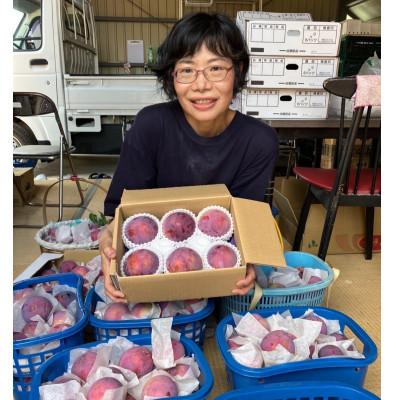 ふるさと納税 南アルプス市 【2026年発送/先行受付】すもも貴陽　デカ玉　約1.5キロ |  | 03