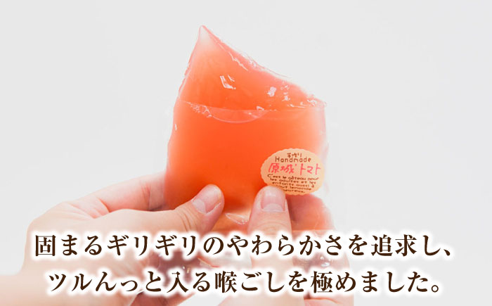 【2026年5月〜発送】原城トマトゼリー 6個入り / ゼリー ぜりー デザート とまと おやつ / 南島原市 / 松本製菓舗 [SFV007]