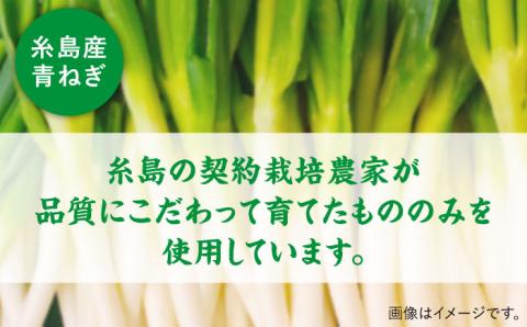 糸島青ねぎゆず胡椒110g×5本セット≪糸島市≫【山口食品工業株式会社】ネギ/青ネギ/ゆず/柚子胡椒 [ABI001]