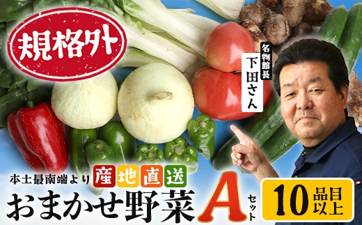 
                  【規格外】本土最南端から 旬のおまかせ野菜セットA 10品目以上  NI-3 ｜  旬 野菜 やさい  果物 くだもの  産地直送  農産物 冷蔵 鹿児島県 南大隅町産  詰合せ  おまかせ 家庭用 訳あり なんたん市場
                