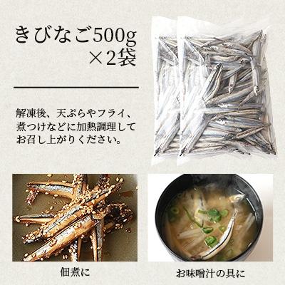 ふるさと納税 枕崎市 枕崎産 きびなご【合計2kg】冷凍 一夜干し 唐揚げ用 詰め合わせ A3-110 |  | 01
