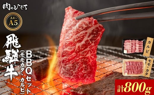 【3月発送】 飛騨牛 BBQセット（カルビ・モモカタ） 800g A5 A4 国産 牛 冷凍 和牛 牛肉 カルビ もも モモ カタ 肩 かた 豪華 ギフト 贈答 にく お肉 肉 東白川村 岐阜 飛騨 贅沢 霜降り 赤身 肉のひぐち