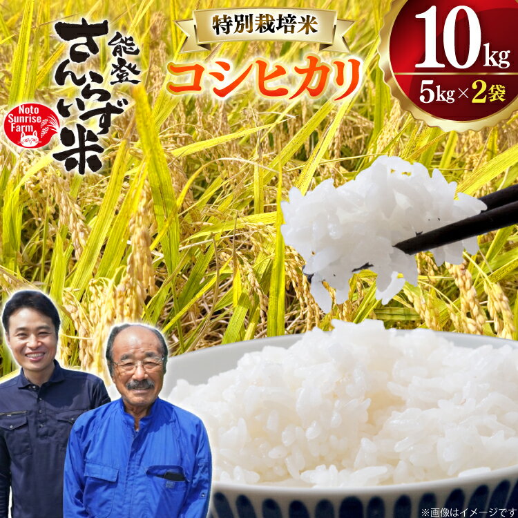 【ふるさと納税】 米 令和7年産 特別栽培米 コシヒカリ 10kg 白米 [合同会社NotoSunriseFarm 石川県 宝達志水町 38601323] 精米 コメ こめ お米 ごはん コシヒカリ 10キロ 能登 令和7年 ごはん