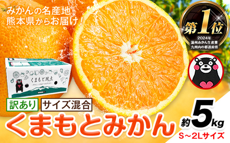 みかん 訳あり くまもとみかん 約5kg S-2Lサイズ サイズ混合 ご家庭用《7-14営業日以内に出荷予定(土日祝除く)》 フルーツ サイズ混合 秋 旬 柑橘 小玉 中玉 大玉 熊本県 荒尾市 熊本県産 荒尾市産含む