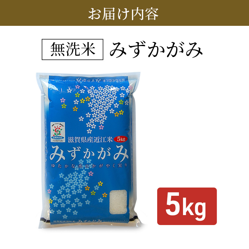 【令和7年産新米】滋賀県産 みずかがみ BG無洗米 5kg お米 2025年9月下旬出荷開始