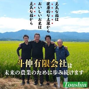 新潟産 コシヒカリ 玄米 10kg 令和7年産 甘うま越後のこしひかり コシヒカリ 玄米 toushin032_02
