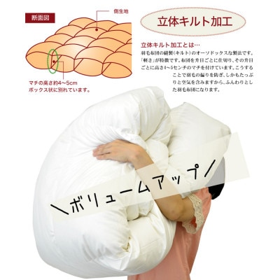 ザ・羽毛布団 ニューゴールドラベル クイーン 210×210cm ダウン85% 掛け布団 羽毛ふとん【1376640】