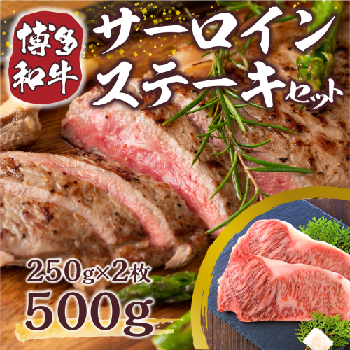 博多和牛サーロインステーキセット 500g (250g×2枚)　DX005