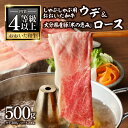 【ふるさと納税】おおいた和牛認定店はしづめ A4等級以上「おおいた和牛」300gと大分県産豚「米の恵み」200gのしゃぶしゃぶセット おおいた和牛 豊後牛 A4等級 大分県産 大分産 豚肉 ブランド牛 ブランド豚 牛ウデスライス ウデ肉 ロース 豚ロース ローススライス A01138