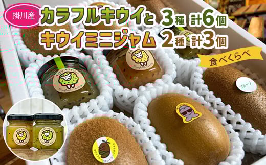 
            掛川産 カラフルキウイ 3種6個と キウイミニジャム 3個セット キウイフルーツカントリー　5884【1652676】
          