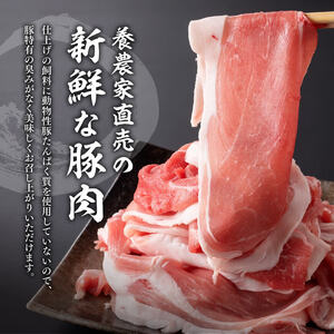 豚肉 宮崎県産豚肉小野さんちの豚肉切り落とし2.5kg