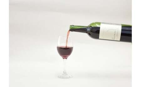 塩谷メルロー 2021 赤ワイン 750ml 1本