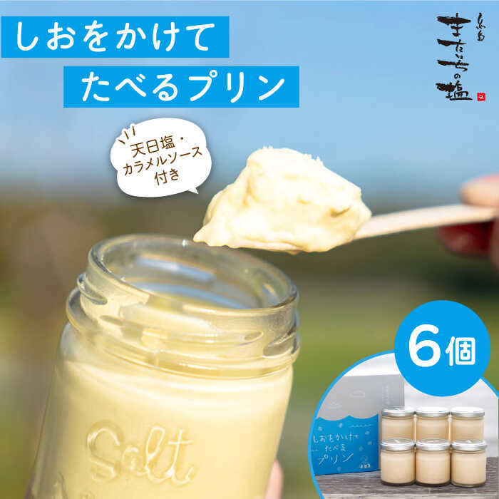 【ふるさと納税】しおが主役 しおをかけてたべるプリン 花塩プレーン 6個セット 糸島市 / またいちの塩 / 新三郎商店 [AEB001] 14000円