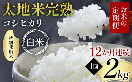 お米の定期便 特別栽培米 太地米完熟 【こしひかり】 白米2kg×12か月連続 ブランド米 お米 精米 白米 人気 F7X-0367
