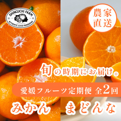
                  ＜発送月固定定期便＞愛媛フルーツ旬の柑橘 みかん・まどんな 各3kg＜G70-78＞全2回【4067785】
                