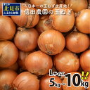 【ふるさと納税】【予約】日本一の玉ねぎ生産地！信田農園の玉ねぎ 5kg 10kg Lサイズ ( 信田農園 野菜 玉ねぎ 玉葱 たまねぎ タマネギ 5キロ 10キロ 北見のたまねぎ オニオン 野菜 甘い ふるさと納税 選べる 配送月 発送時期が選べる )