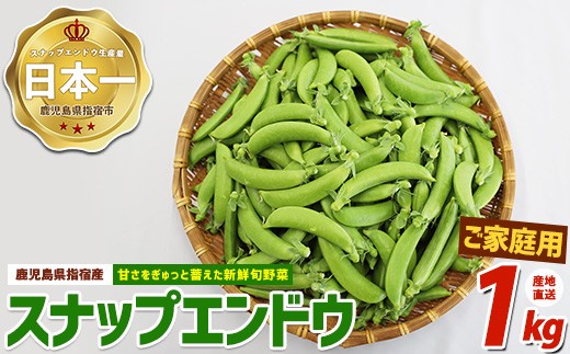 ＜2027年2月上旬以降発送＞【産地直送！新鮮旬野菜！】ご家庭用スナップエンドウ約1kg(指宿促成青果/IB092-001)野菜 旬 スナップエンドウ 訳あり 大容量 国産 詰め合わせ やさい