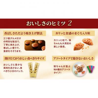 ふるさと納税 伊丹市 銀のスプーン三ツ星グルメ香るお魚仕立15歳頃から4種のアソートお魚レシピ猫のご飯[54030508] |  | 03