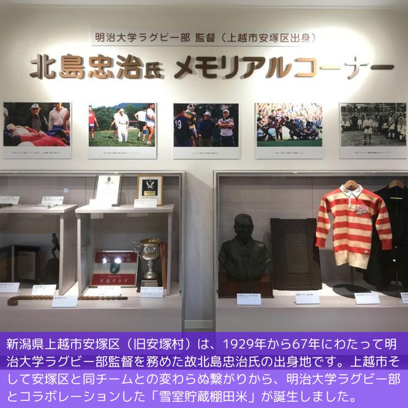 令和7年 新潟県産 コシヒカリ 雪むろ 棚田米 5kg 5キロ 白米 新米 明治大学ラグビー部 安塚 雪室 こめ 新潟 上越 上越市