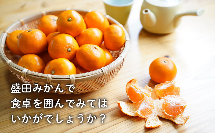 みかん 柑橘 果物 くだもの フルーツ 季節限定 先行予約 数量限定 希少 稀少 温州みかん ミカン 5kg