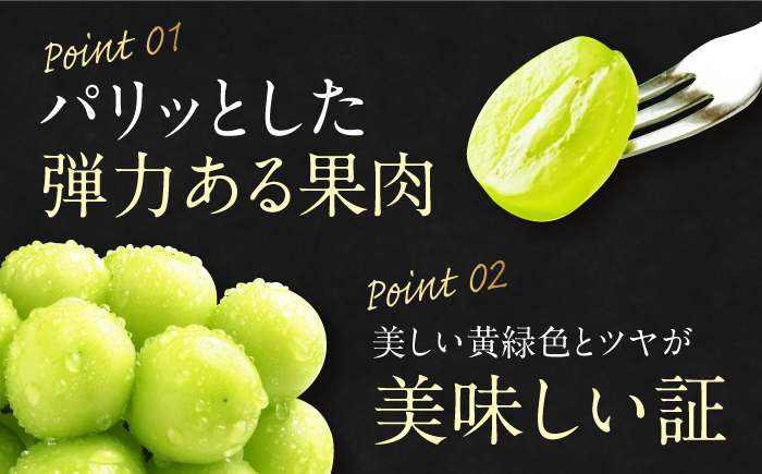 【全2回定期便】【数量限定】シャインマスカット＆紅まどんな 愛媛が誇るフルーツ2種の贅沢定期便 マスカット ぶどう まどんな みかん 果物 愛媛県大洲市/愛媛たいき農業協同組合[AGAO015]