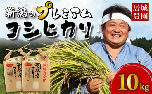 【2026年1月発送】プレミアム コシヒカリ 10kg 令和7年産 特別栽培米 こしひかり プレミアムコシヒカリ  精米 白米 ご飯 おにぎり 弁当 新潟県産 新発田産 菅谷産 新潟 米 お米 こめ 居城農園 菅谷 新潟県 米 新潟県 新発田市 D79_202601