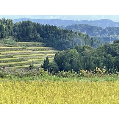 ふるさと納税 十日町市 【毎月定期便】日本棚田百選のお米 天空の里・魚沼産こしひかり 5kg全3回 |  | 01