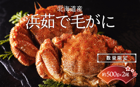 【数量限定】＜北海道産＞浜茹で毛がに【約500g×2尾】（網走加工） 【 毛蟹 毛ガニ 毛がに かに味噌 カニみそ 】 ABC016