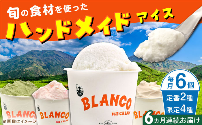 【全6回定期便】ハンドメイドアイスクリーム 食べ比べ 6個セット ( 6種 × 各1個 ) 詰め合わせ アイスクリーム 熊本 山都町 アイス【BLANCO ICE CREAM】[YCM003] 