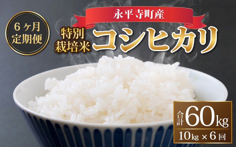 
            【6ヶ月連続お届け】【白米】 令和6年度産 永平寺町産 農薬不使用・化学肥料不使用 特別栽培米 コシヒカリ 10kg×6ヶ月（計60kg）[K-033018]  米定期便 定期便 頒布会 
          