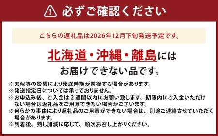 中央市産 キウイフルーツ （ ヘイワード ） 約2kg 【2026年12月下旬発送予定】 フルーツ 果物 くだもの 食物繊維 朝ごはん 朝食 キウイ キゥイ 