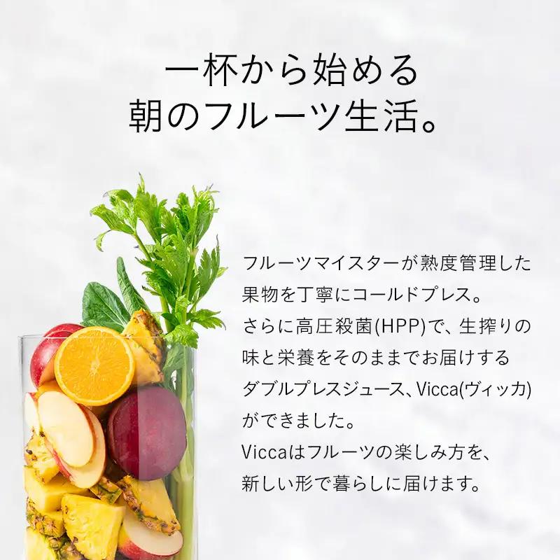 フルーツ専門店がつくる Viccaプレミアムフルーツ ダブルプレスジュース ベーシック 280ml×6本 定期便2か月コース 果実本来の味わいを楽しむ 贅沢ジュース 冷蔵