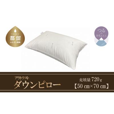ふるさと納税 都留市 ダウンピロー(アウトラスト)【大型サイズ:50cm×70cm】