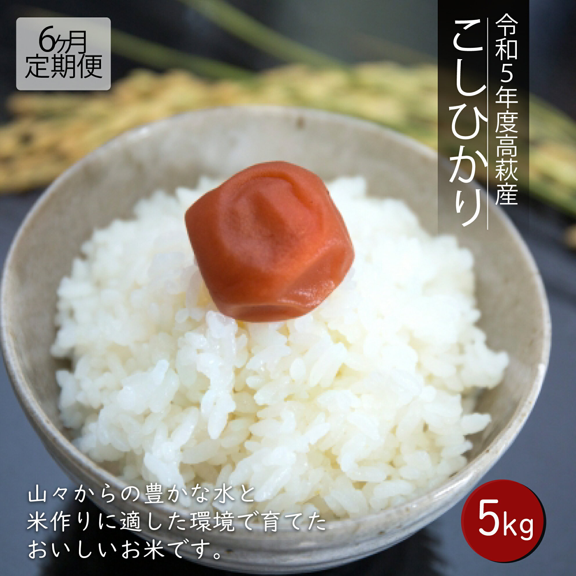 【ふるさと納税】【6ヶ月定期便】令和7年度 高萩産 コシヒカリ 5kg×6回