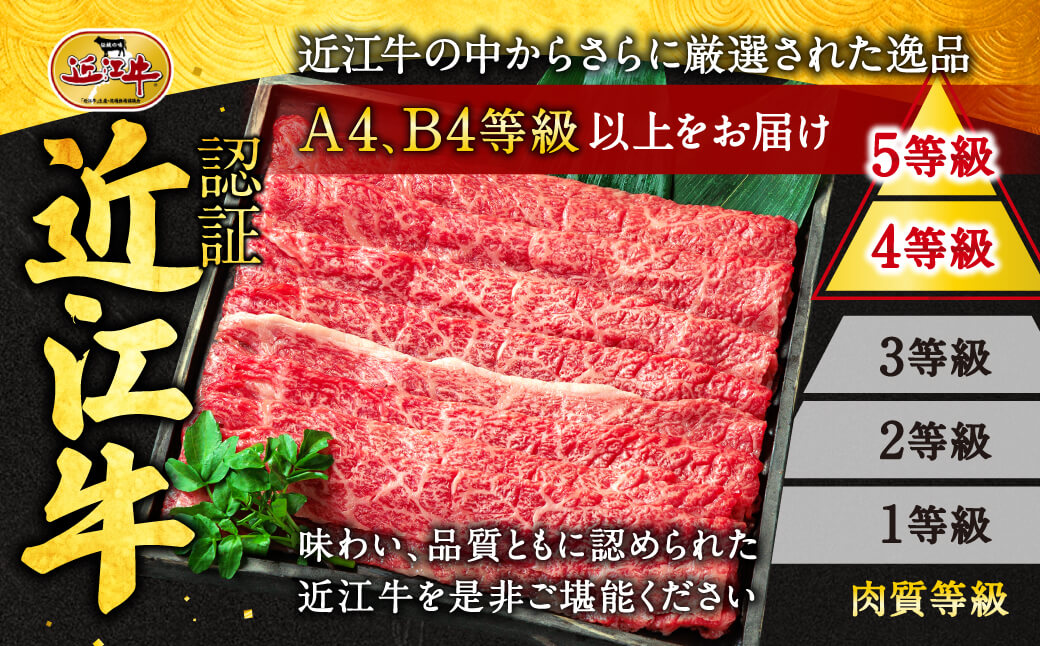 近江牛 希少部位５種 焼肉用 詰合せ　B-E06　株式会社びわこフード(近江牛専門店 万葉)