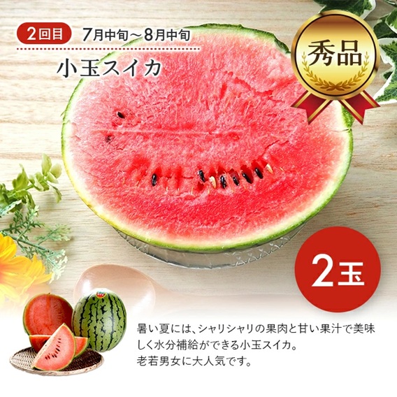 SE0334　【3回定期便】庄内オイシイ夏の便2025 (紅花メロン、小玉すいか、アールスメロン)